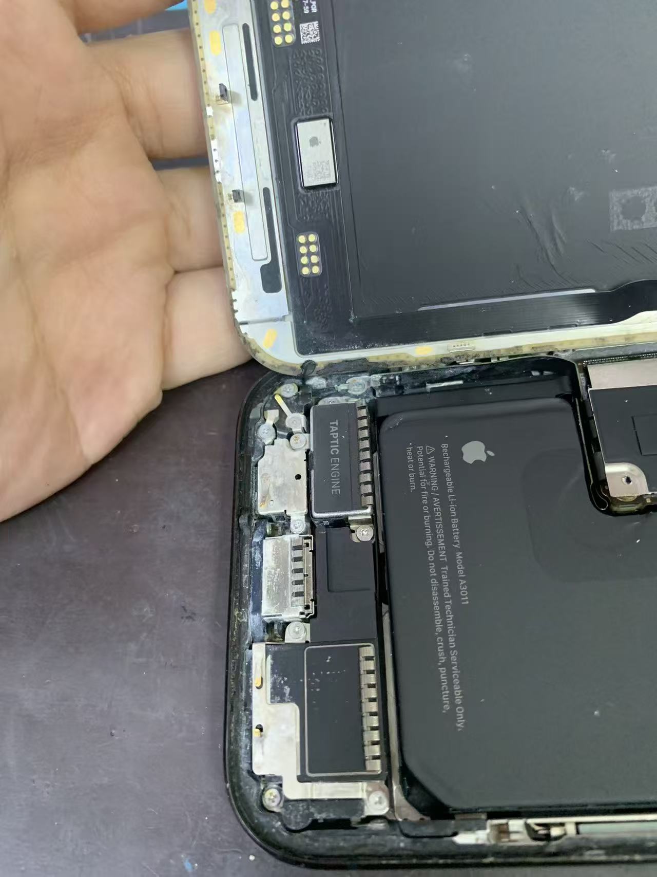 f1941893e650423c6556a6d109f71d88.jpg